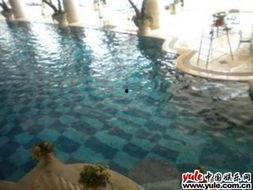 碧海方舟都有哪些明星,璀璨星光闪耀海上家园